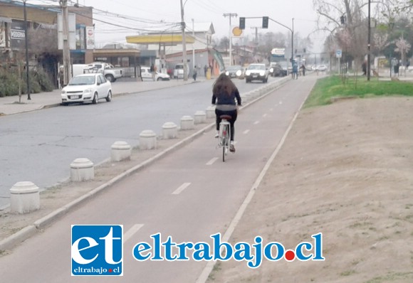 Una de las ciclo vías de avenida Yungay siendo usada por una ciclista.
