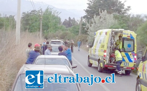 El accidente ocurrió la tarde de este domingo en la ruta del sector Casas Chicas de Quilpué en San Felipe.