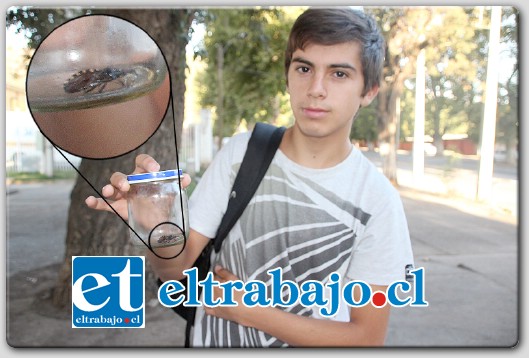 Un joven que se aprestaba a ducharse, encontró una vinchuca al interior del baño de su vivienda ubicada en Calle Juan Rozas.