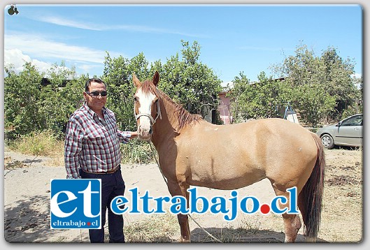 Luis Vivar, propietario de tres costosos caballos, sorprendió a cuatreros a plena luz del día robando sus animales.