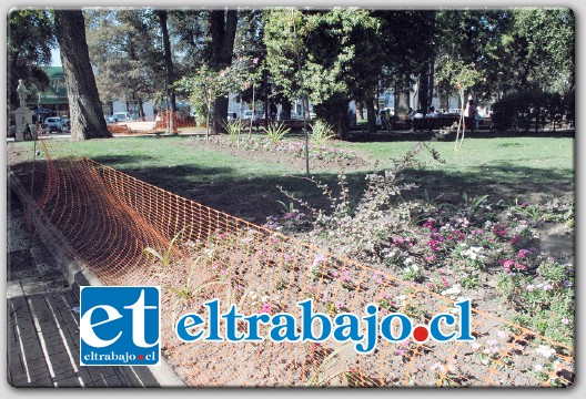 Una malla de protección se encuentra instalada en los sectores de jardines para proteger la resiembra de pasto y flores en nuestro principal paseo público.