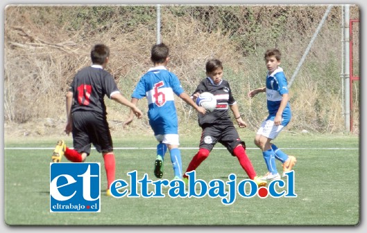 Desde la semana pasada Unión San Felipe compite en todas las categorías del Fútbol Joven de la ANFP. En la imagen se aprecia una escena del partido del domingo pasado entre el Uní y la UC.