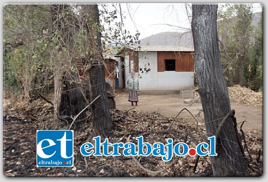 Un incendio de pastizales, moras, arbustos y árboles, se propagó rápidamente y estuvo cerca de alcanzar una humilde vivienda ubicada a orilla de carretera en las cercanías de Las Quillotanas.