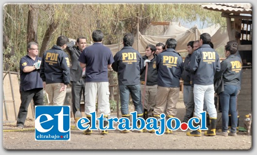 A CIEGAS.- Sin éxito han resultado la serie de diligencias desplegadas por la Fiscalía de San Felipe y la Brigada de Homicidios de la PDI, para dilucidar el hallazgo de la cabeza de un bebé.