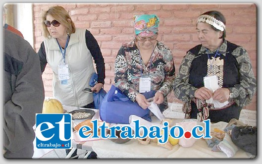 La actividad contó con la participación de diferentes organizaciones culturales de la zona que aprovecharon la ocasión para compartir su experiencia en el cuidado y protección de las semillas.