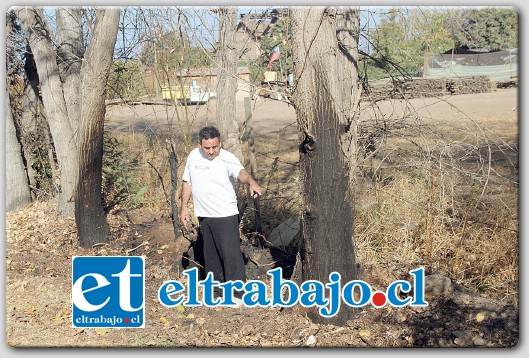 Los incendios de pastizales ocurridos a orilla de carretera entre los sectores La Ermita y Las Quillotanas, estuvieron cerca de alcanzar una vivienda.