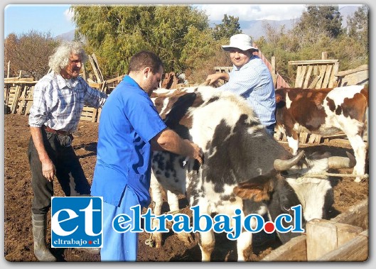 Un nuevo operativo veterinario para los usuarios del programa Prodesal quedó programado para la semana del 16 de junio, con lo cual se espera poder dar una cobertura mayor de beneficiarios.