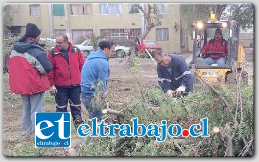 TRABAJO DE EQUIPO.- Desde muy temprano hasta pasado el mediodía de este sábado, vecinos de Villa El Totoral junto con personal de los talleres de la Municipalidad de San Felipe dieron inicio a toda una labor de limpieza.