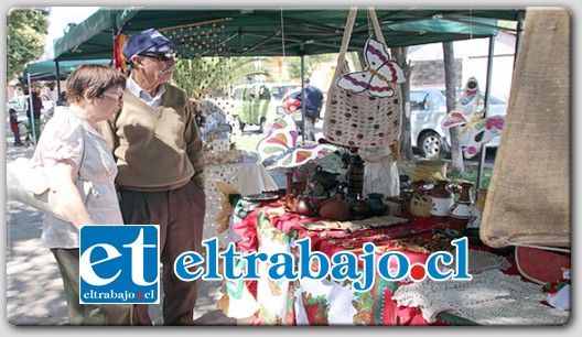 La actividad arranca este sábado 14 de junio desde las 10:00 hasta las 19:00 horas en la Plaza Fernando Aldunce Campos del sector.