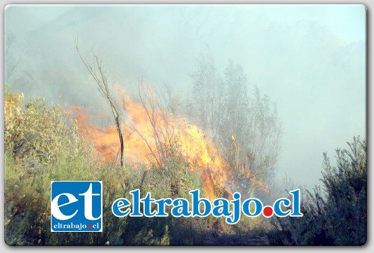 NEFASTO.- El avance del fuego a eso de las 15:00 horas, se tornaba incontrolable y las llamas arrasaron pequeñas construcciones de madera.