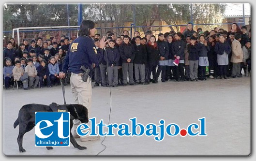 BIEN ENTRENADOS.- Uno de los momentos más llamativos de la jornada fue la demostración de canes de la Brigada de Antinarcóticos de la PDI, quienes mostraron a los niños cómo realizan los operativos para detectar la presencia de drogas.