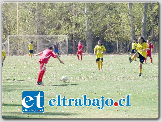 Este año el balompié aficionado sanfelipeño tendrá como grandes desafíos, las clasificatorias U-15 y Séniors.