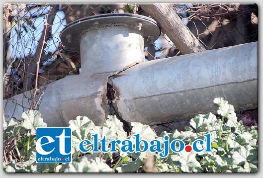 PESTILENCIA.- La situación es sumamente grave, sobre todo con las altas temperaturas registradas en los últimos días, lo que ha obligado a que en su casa tengan que estar prácticamente con las ventanas y puertas cerradas.