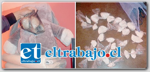 Personal de la Sección de Investigación Policial SIP de San Felipe, incautó diversas especies sustraídas desde Tienda Plastikón además de 28 bolsas de pasta base de cocaína que estaban ocultas en un oso de peluche.