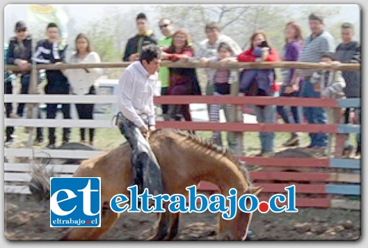 Más de 3.000 personas participaron el jueves 18 y el viernes 19, en la tradicional Fiesta Huasa y Olimpiadas Campesinas.