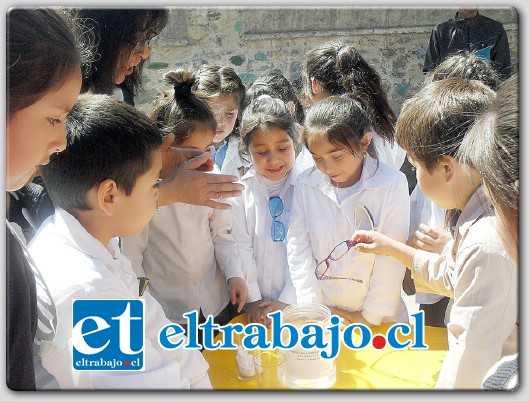 El viernes 10 de octubre recién pasado se realizó el 5º Encuentro del día de la Ciencia en mi escuela 2014, con la participación de todos los niveles de estudio desde pre kínder a 8º año básico del establecimiento.