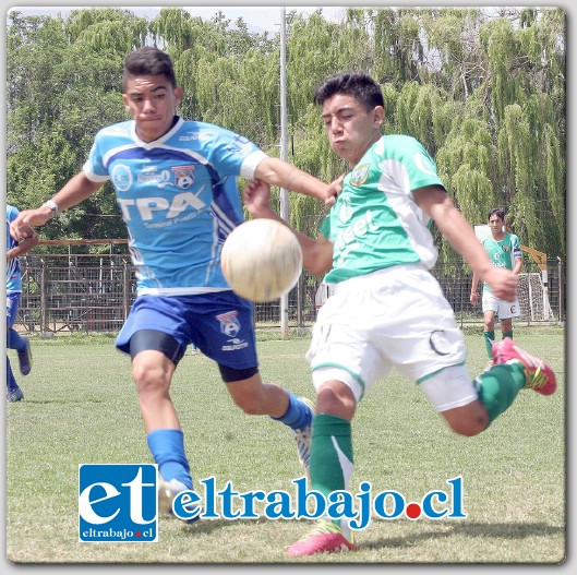 Largo pero provecho ha sido el aprendizaje de los cadetes de Trasandino, en el torneo de Fútbol Joven de la ANFP. (Foto: Patricio Aguirre)