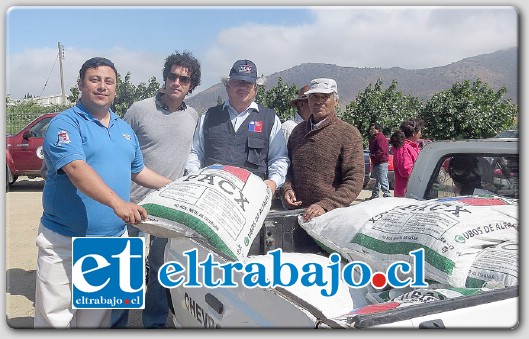 Una entrega masiva de alimento para ganado realizó el Instituto de Desarrollo Agropecuario (Indap) a pequeños criadores de Llay Llay.