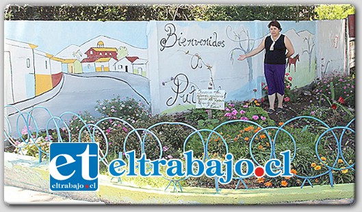 Un grupo de vecinas que viven en calles Comercio, Eduardo Weggener y Ejército Libertador, hicieron un llamado a la comunidad para que cuiden y no ocasionen daños a un jardín y un mural que se encuentran a la entrada de Putaendo.