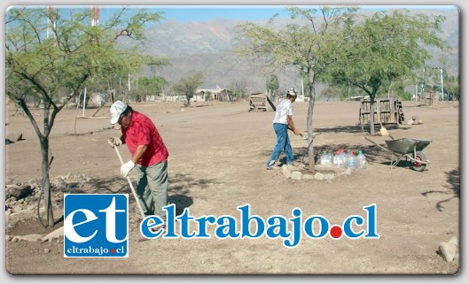 Los vecinos del Cerro El Llano se encuentran impulsando una importante iniciativa para reforestar ese sector y recuperar árboles que producto de la sequía estaban deteriorados.