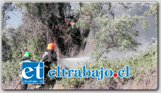 Un voraz incendio totalmente fuera de control, fue el que se registró la tarde de este viernes en el sector Las Quillotanas.