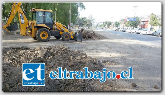 La recuperación de las áreas verdes en distintos sectores de la comuna, comenzó la Municipalidad de San Felipe, lugares que por muchos años se habían mantenido desatendidos.