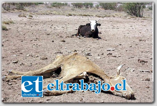 El problema de la sequía en Los Patos y Casa Blanca cada día es más preocupante. (Foto referencial)