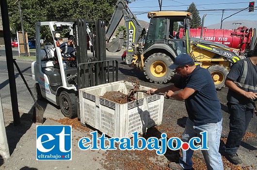 Trabajadores de la empresa Pentzke salieron para ayudar en la labor de limpieza del sector afectado.