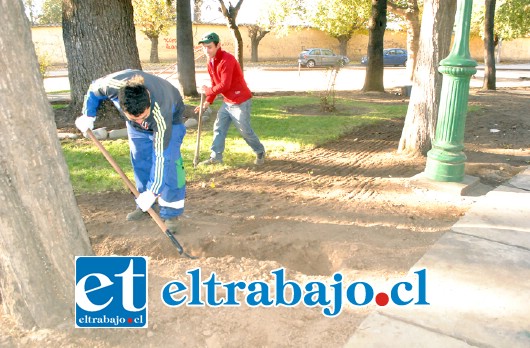 El proyecto considera el recambio del pavimento, de escaños y el mejoramiento de las áreas verdes del sector mediante la instalación de un sistema de riego tecnificado.