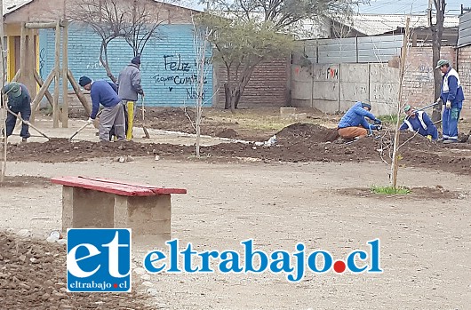 La política del alcalde Freire considera enorme atención a la recuperación de espacios públicos y áreas verdes.