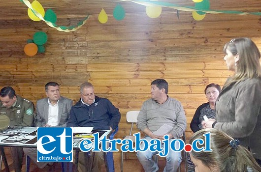 La reunión se efectuó el pasado jueves y contó con la participación del gobernador Eduardo León, el alcalde Guillermo Reyes, el concejal Luis Sandoval, dirigentes vecinales y el Jefe de Tenencia de Carabineros de Putaendo, Ángelo Acevedo.