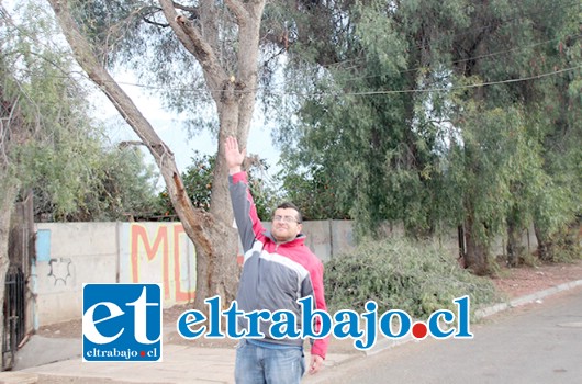 Rodrigo Tapia, vecino de la población Doña Javiera denuncia el daño que conductores de camiones han generado al cableado eléctrico y telefónico.