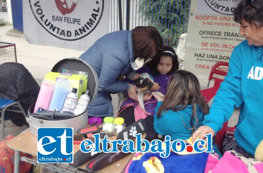 Vecinos de distintos sectores de la comuna junto a sus mascotas llegaron hasta el sector céntrico para participar en la actividad.