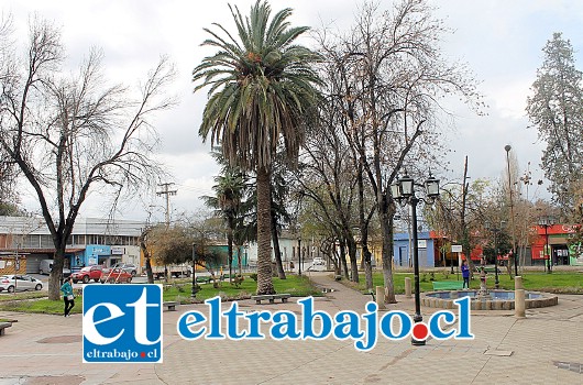 Proyecto espera dar una nueva cara al principal paseo público de Calle Larga.