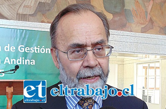 Ricardo Palma Contesse, Gerente General de la División Andina de Codelco.