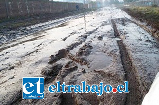 Este es el estado en que quedó la calle Ignacio Carrera Pinto, frente a la medialuna municipal, después del temporal.