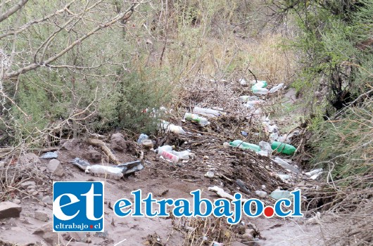 Pese al desmentido de la empresa, la inspección a fondo de la Autoridad Sanitaria reveló que sí hubo contaminación en el CTI del cerro La Hormiga.