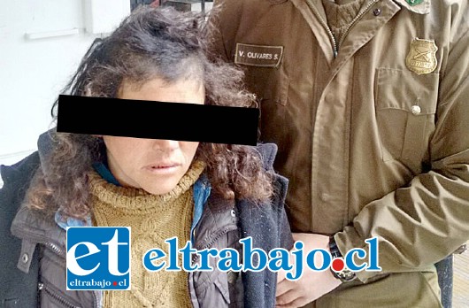 La antisocial fue identificada como Cecilia Escobar Aguilera (37), reside en la misma villa donde cometió el delito de robo al interior de una vivienda, siendo detenida por Carabineros de San Felipe.