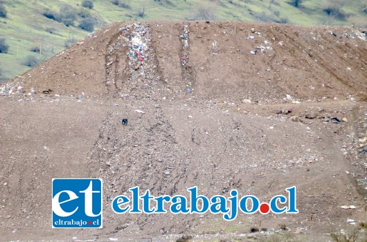 Así se ve el lugar 24 horas después del accidente, las cárcavas del derrumbe del morro de basura.