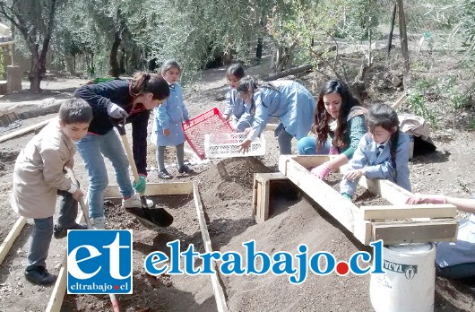 A TODA MÁQUINA.- Así pillaron a estos niños las cámaras de Diario El Trabajo en su huerto, imparables y con muchas ganas de aprender.