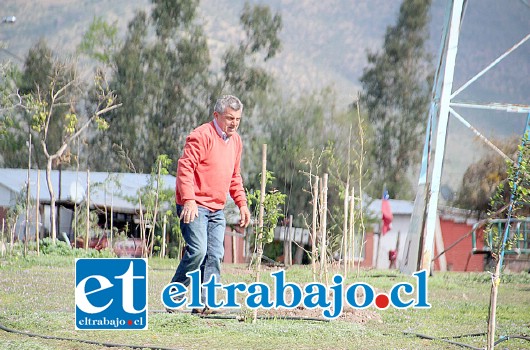 Los vecinos, en una labor conjunta con la empresa Vivartes y el municipio, plantaron más de 120 árboles en un sitio que antiguamente era un basural.