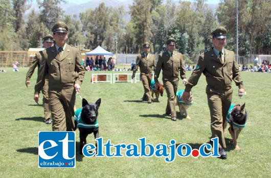 Los perros Amir, Panton, Ralph, Igor, Ninja Greco mostraron todo su carisma que cautivó sobretodo a los más pequeñitos.
