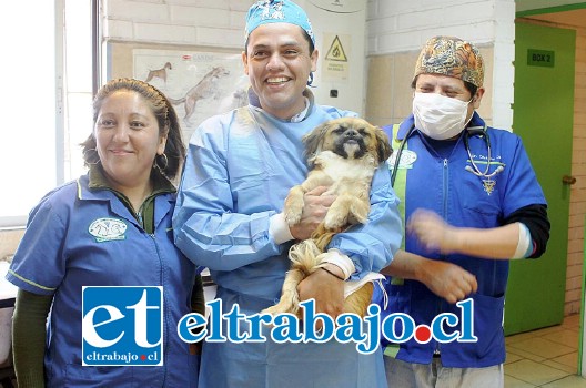 León fue la mascota esterilizada número 2 mil 84 en ser esterilizada bajo este exitoso programa.