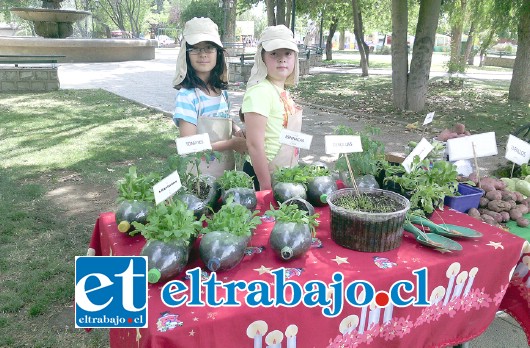 La Escuela Básica República del Brasil creó un huerto sustentable, en el cual los estudiantes, a través de productos reciclados, han podido cultivar diferentes tipos de verduras y hortalizas.