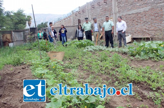 Autoridades conocieron el proyecto de huerto sustentable que se lleva a cabo en el CET de Putaendo, para la formación laboral de internos en agricultura urbana.