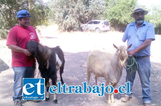 El proyecto busca mejorar la genética de los animales ya que muy caro para los pequeños productores realizar este tipo de proceso para mejorar la raza.