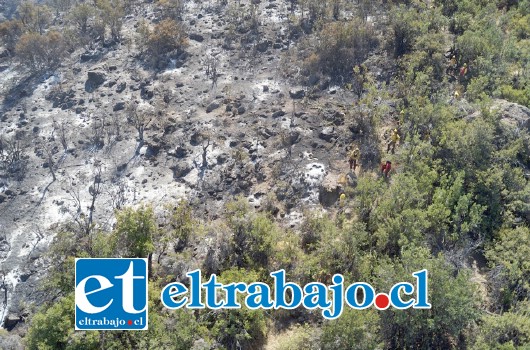 El incendio consumió cerca de 760 hectáreas de matorrales y arbolado nativo, de las cuales 730 corresponden al Santuario de la Naturaleza Serranía El Ciprés.