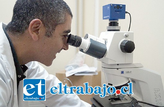 El anátomo patólogo, Dr. Vadir Ready, ocupando microscopio de última generación adquirido por el HSC.