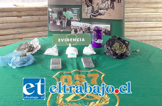 Efectivos del OS7 de Carabineros incautaron la droga desde un domicilio en la Villa El Señorial de San Felipe.