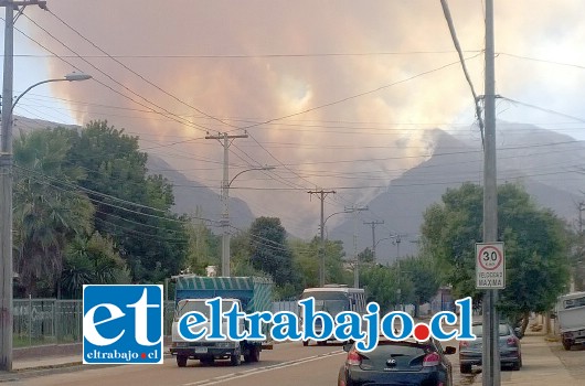 UN INFIERNO.- El incendio inició el miércoles 9 en los cerros de El Asiento, duró varios días. (Archivo)